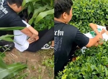 Bạn bè chơi xấu với em nữ sinh trên cánh đồng